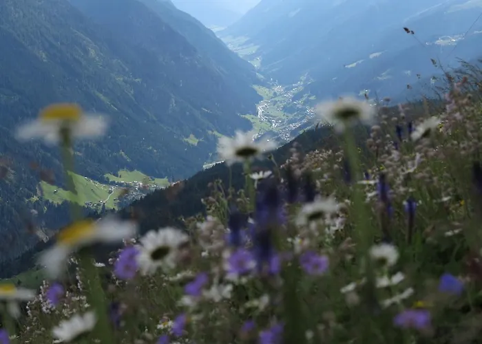 Mallaun Hotel.erlebnis Hotel