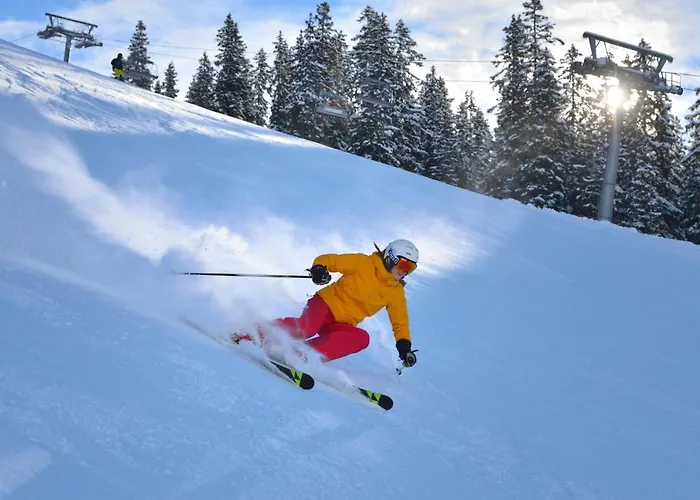 Mallaun Hotel.erlebnis 호텔 4*